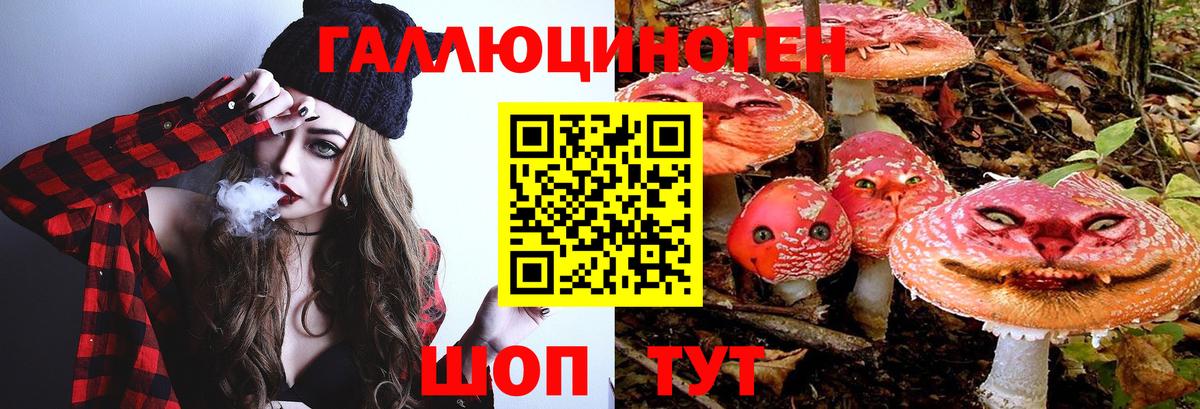 Камень-на-Оби  Псилоцибиновые грибы ЛСД  Вход с VPN 